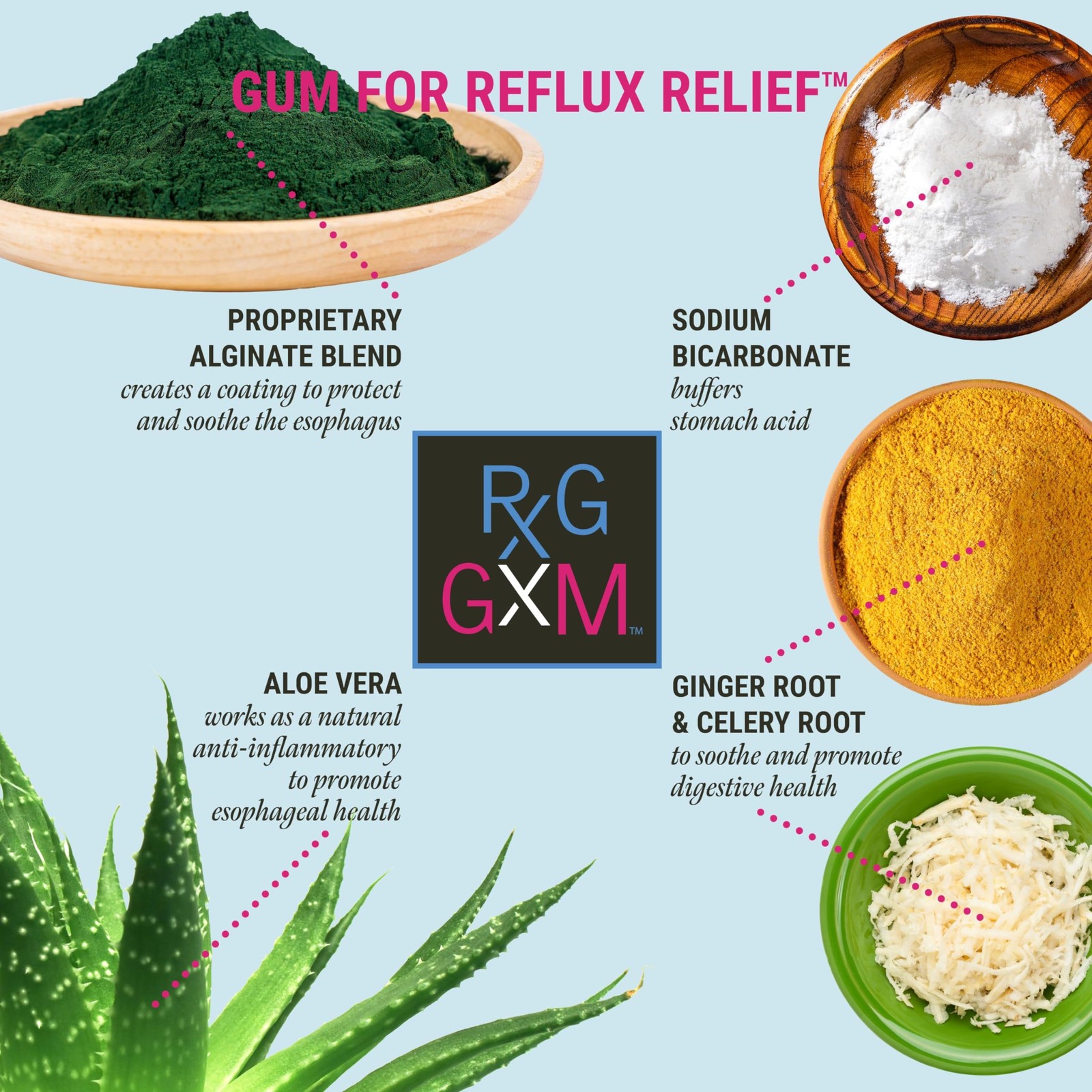 REFLUX GOURMET Berry Soothe Gum Alginate Therapy Sodium 30 Count (Pack of 1)
