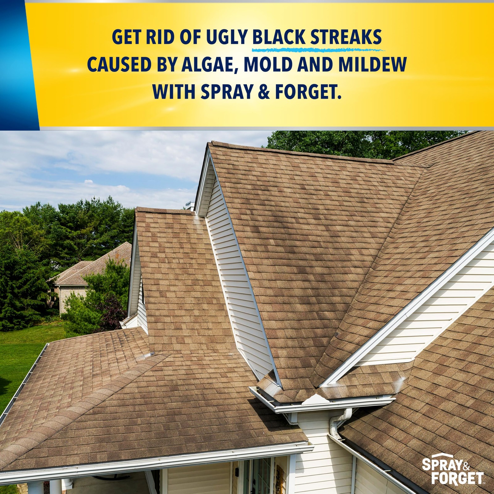 Cleaner Spray 1 Gallon Concentrated Forget SF101 Roof