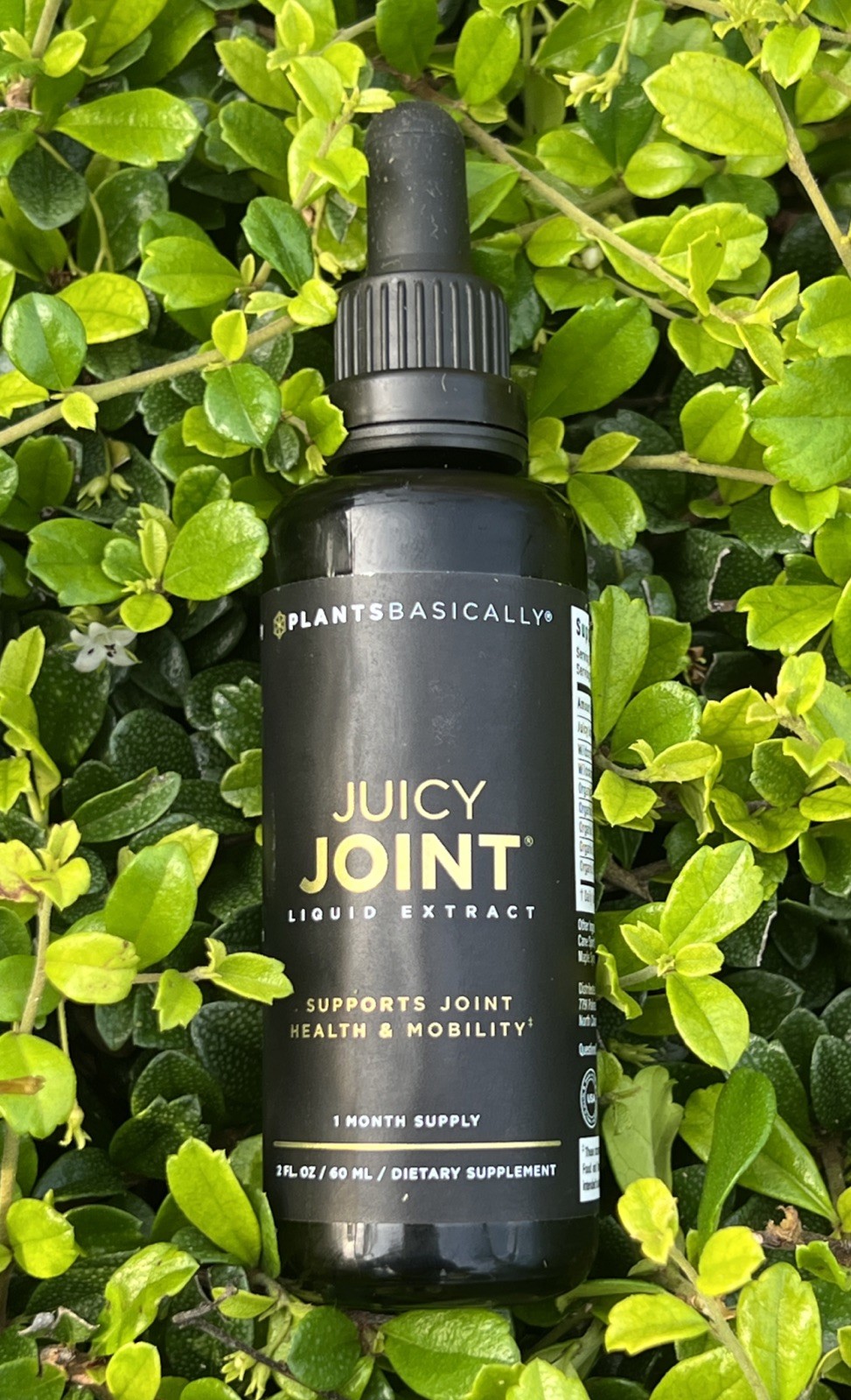 Joint Support Supplement 60 mL Liquid Extract Plants Basically Juicy Mobility