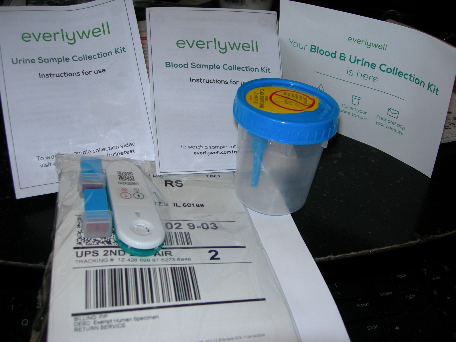 Everlywell Blood & Urine Sample Collection Kit-Lab Test at Home-New