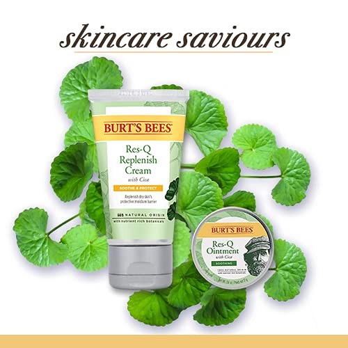 Burt s Bees Multipurpose Res Q Ointment Cica 15g Natural Origin Burts