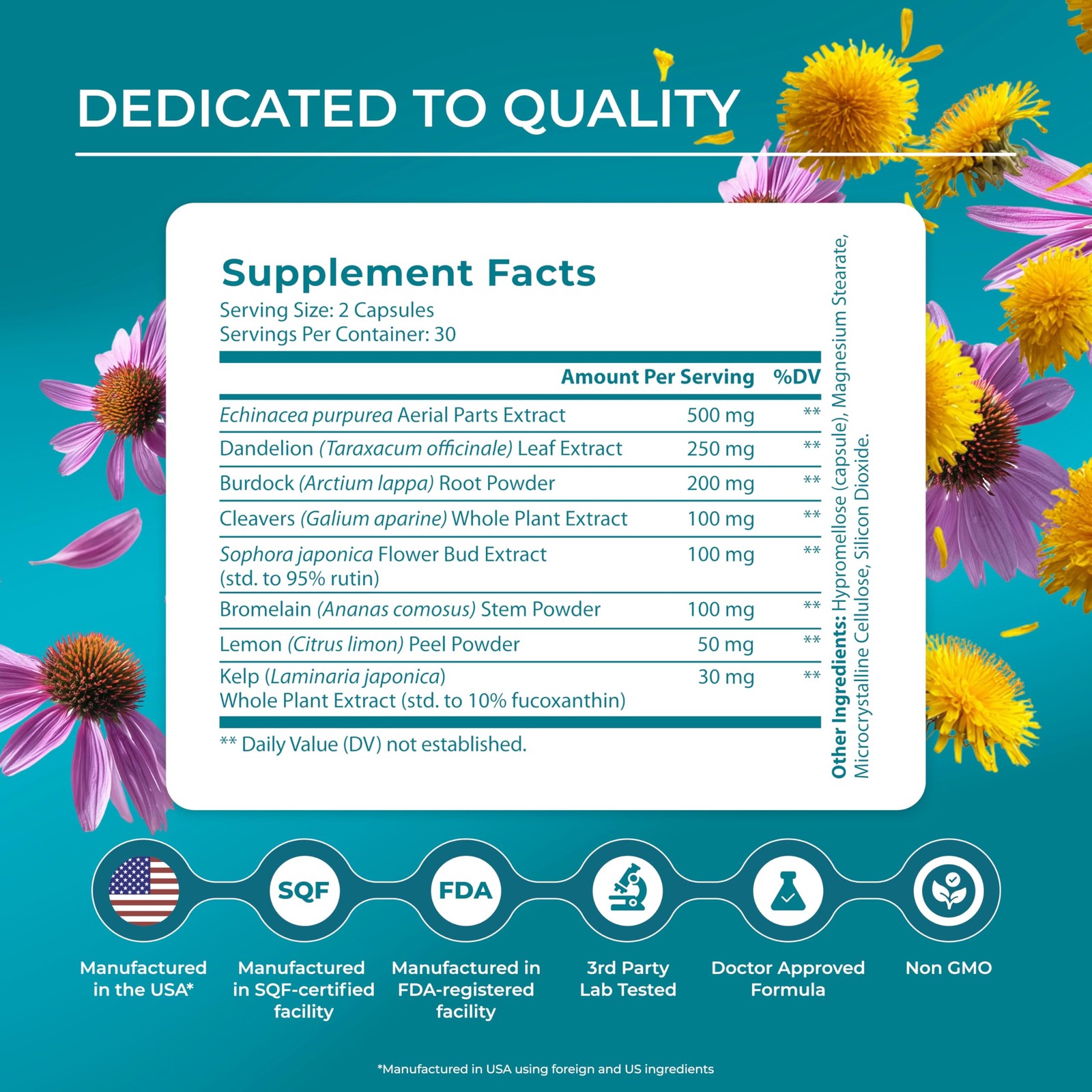 Lymphatic Drainage Supplement 360 Capsules Bromelain Echinacea PUREHEALTH System