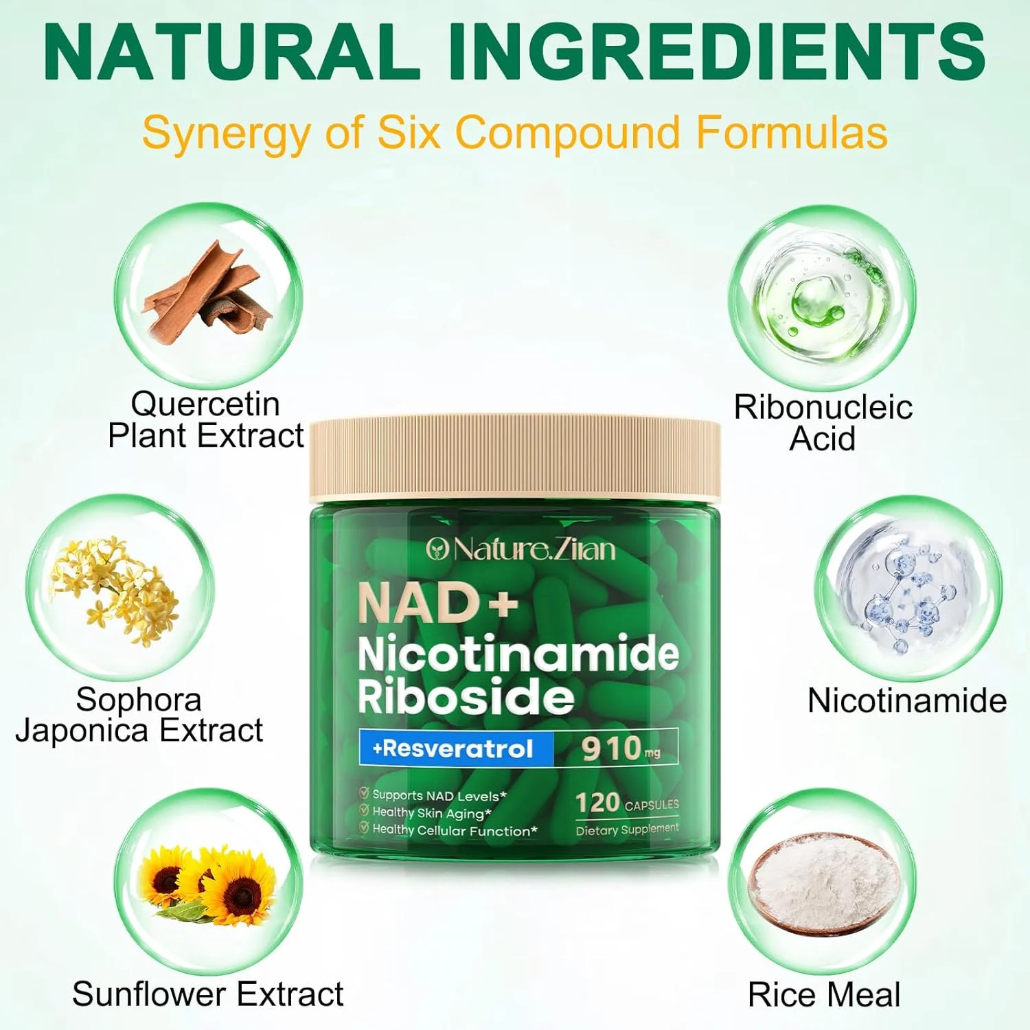 NAD Supplement – NAD+ Nicotinamide Riboside 910 Mg Supplement for Women & Men, L