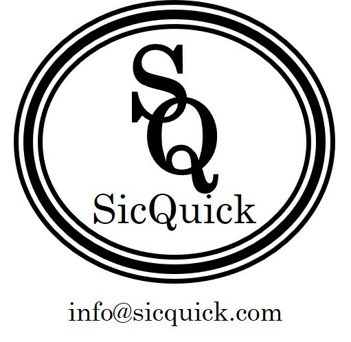NEW PRODUCT 12ct Emesis Bag, Disposable Vomit Barf Bag,SicQuick FREE SHIP
