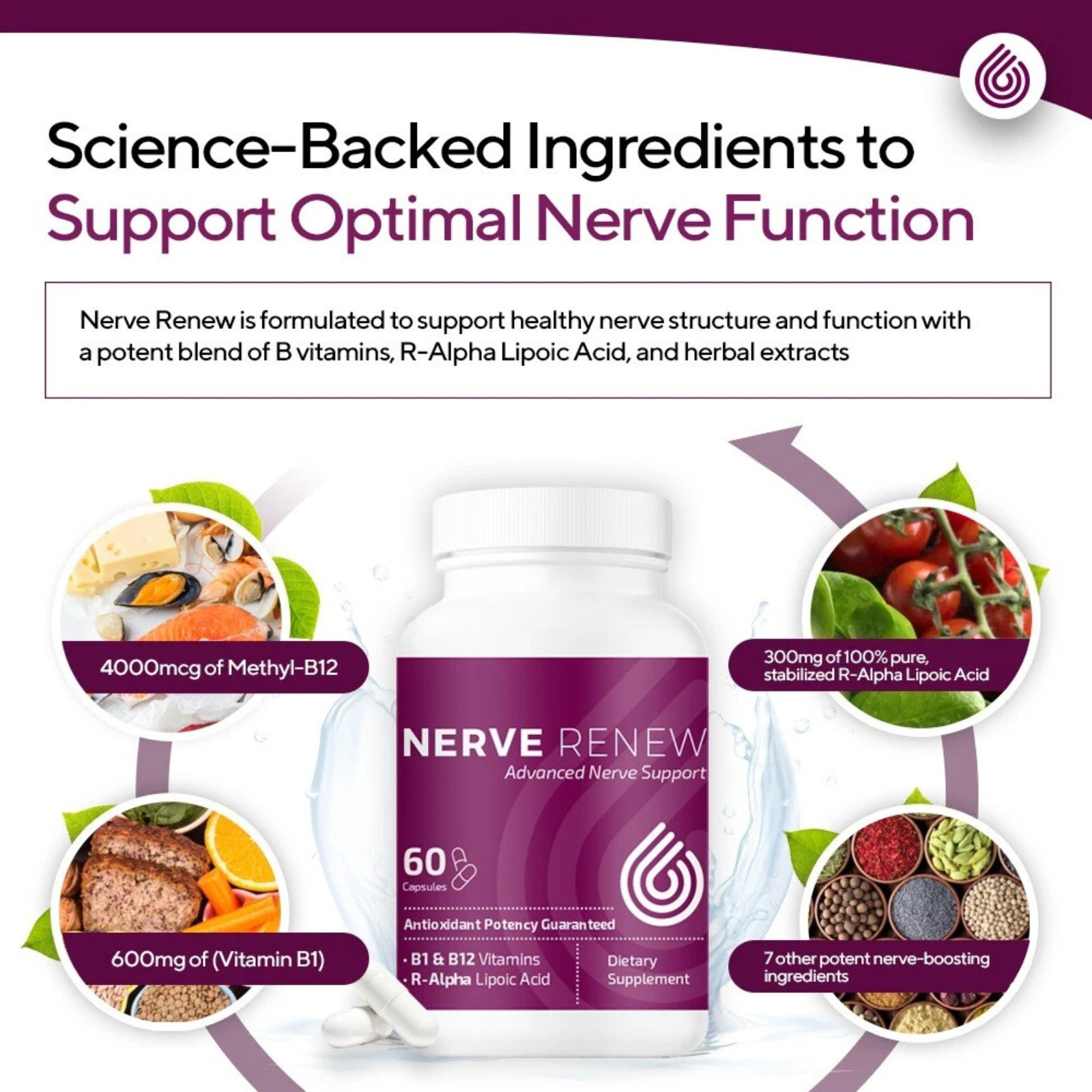 NERVE RENEW Advanced Nerve Support – with R-Alpha Lipoic Acid and etc, Pack of 1