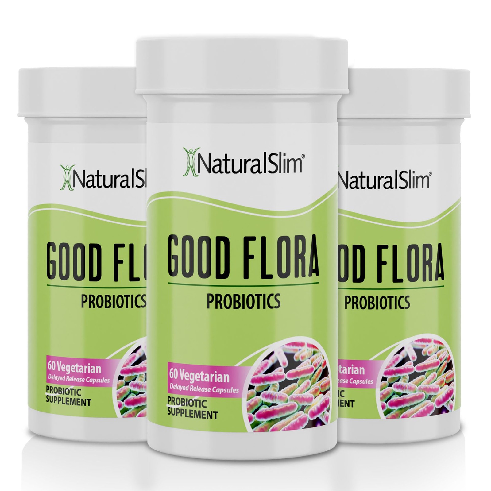 Probiotic Gentle Formula 60 Vegetarian Capsules 3 Pack NaturalSlim Health Immune