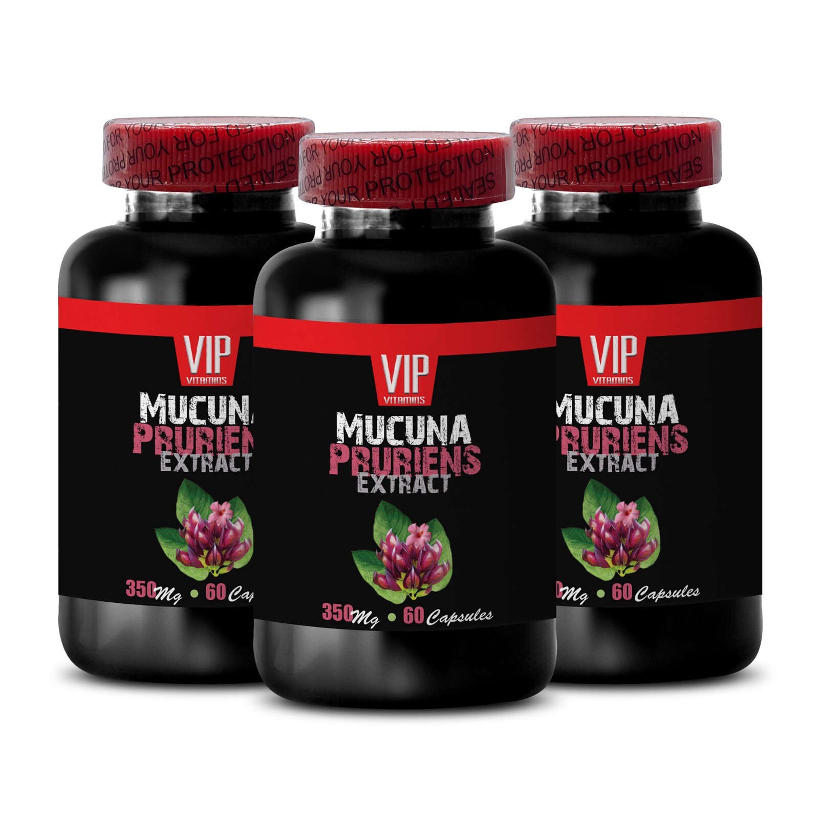 brain memory support – MUCUNA PRURIENS EXTRACT – focus pils 3 bottles 180 caps