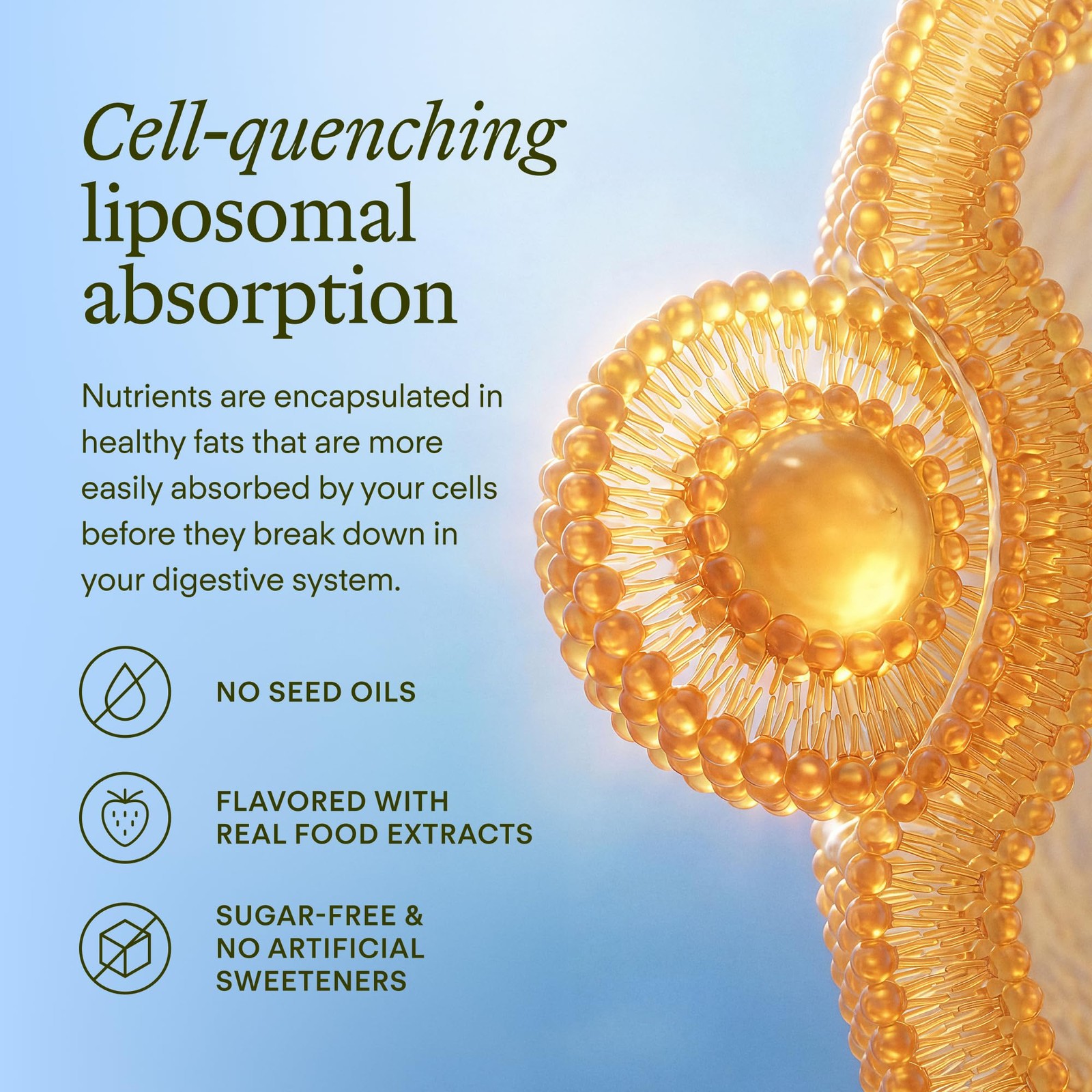 Liposomal Glutathione Supplement CoQ10 NAD+ B12 30 Pouches Watermelon Sunny Lime