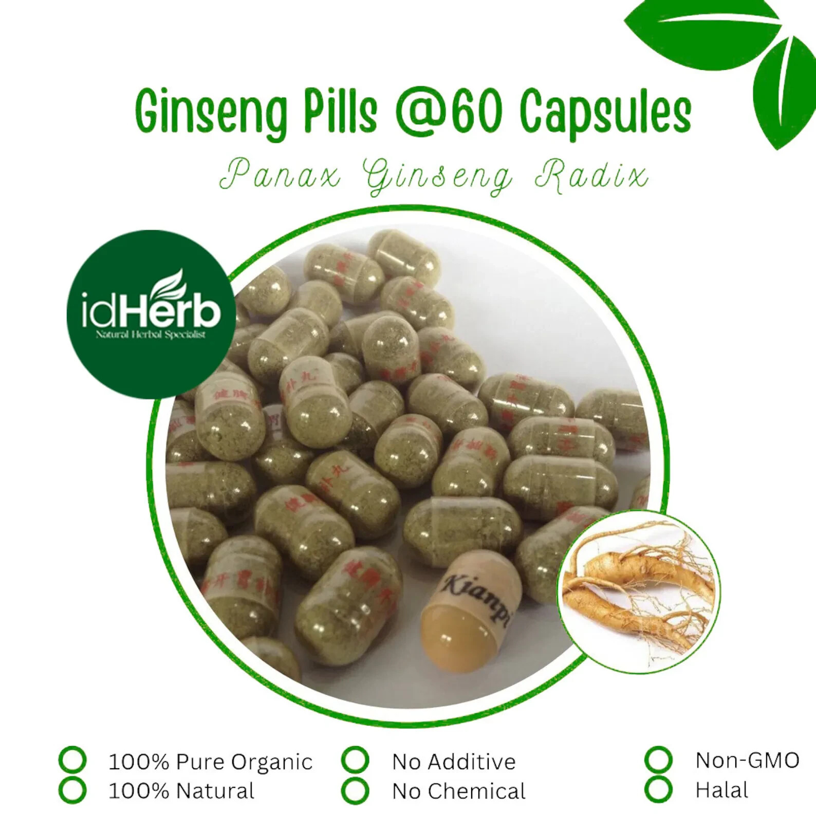 ❣️BEST Ginseng Pills @60 capsules body fat Herbs Natural Herb Wildcrafted