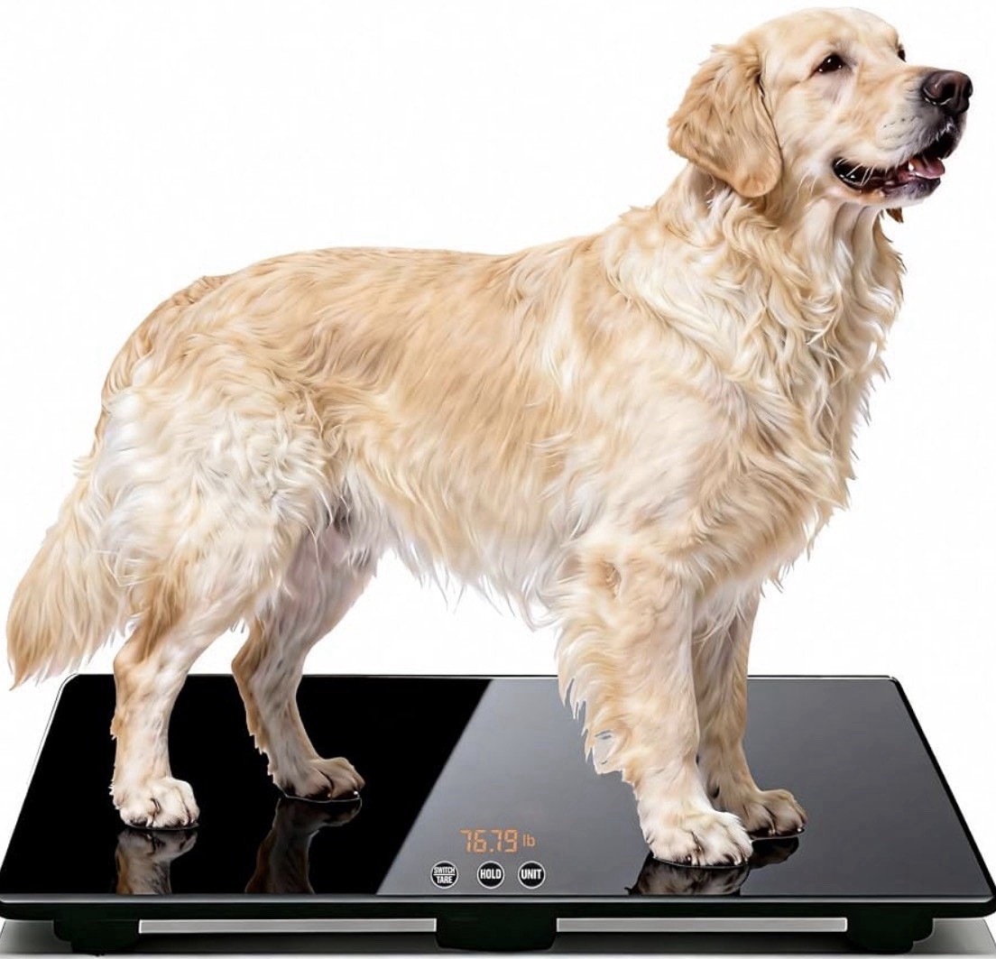 Digital Weighing Scale For Veterinary Care. Dogs, Cats, 220lbs Capacity