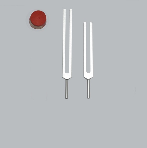 Whole Body C256 & G384 Tuning Forks Tuners+Activator for sound healing Therapy