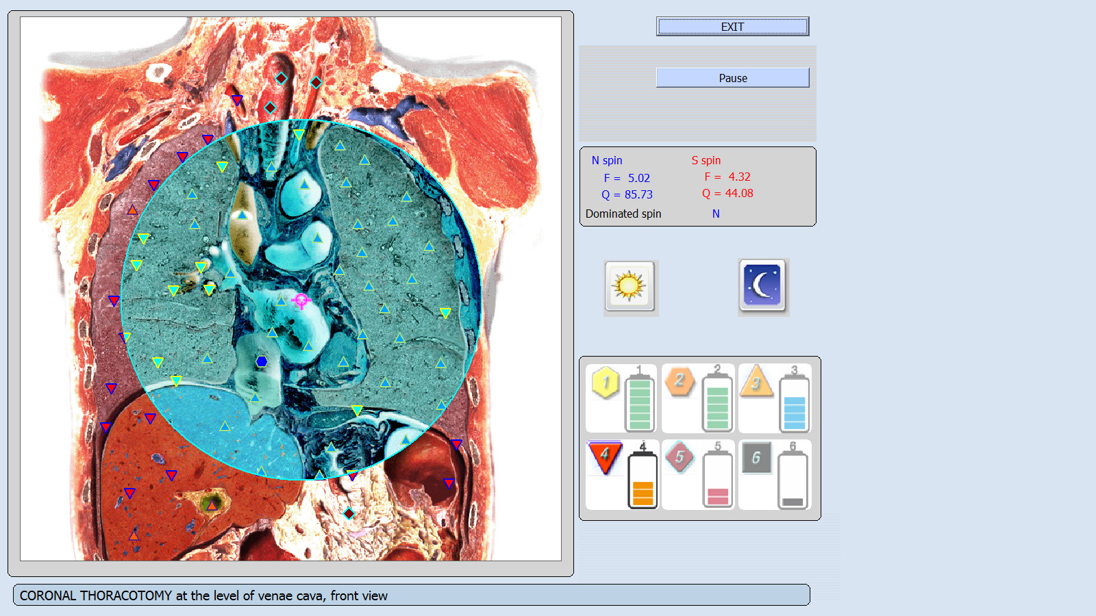 Bioplasm Analyzer in 9D Non-Linear Analysis System Device Version 3.8.2 -English