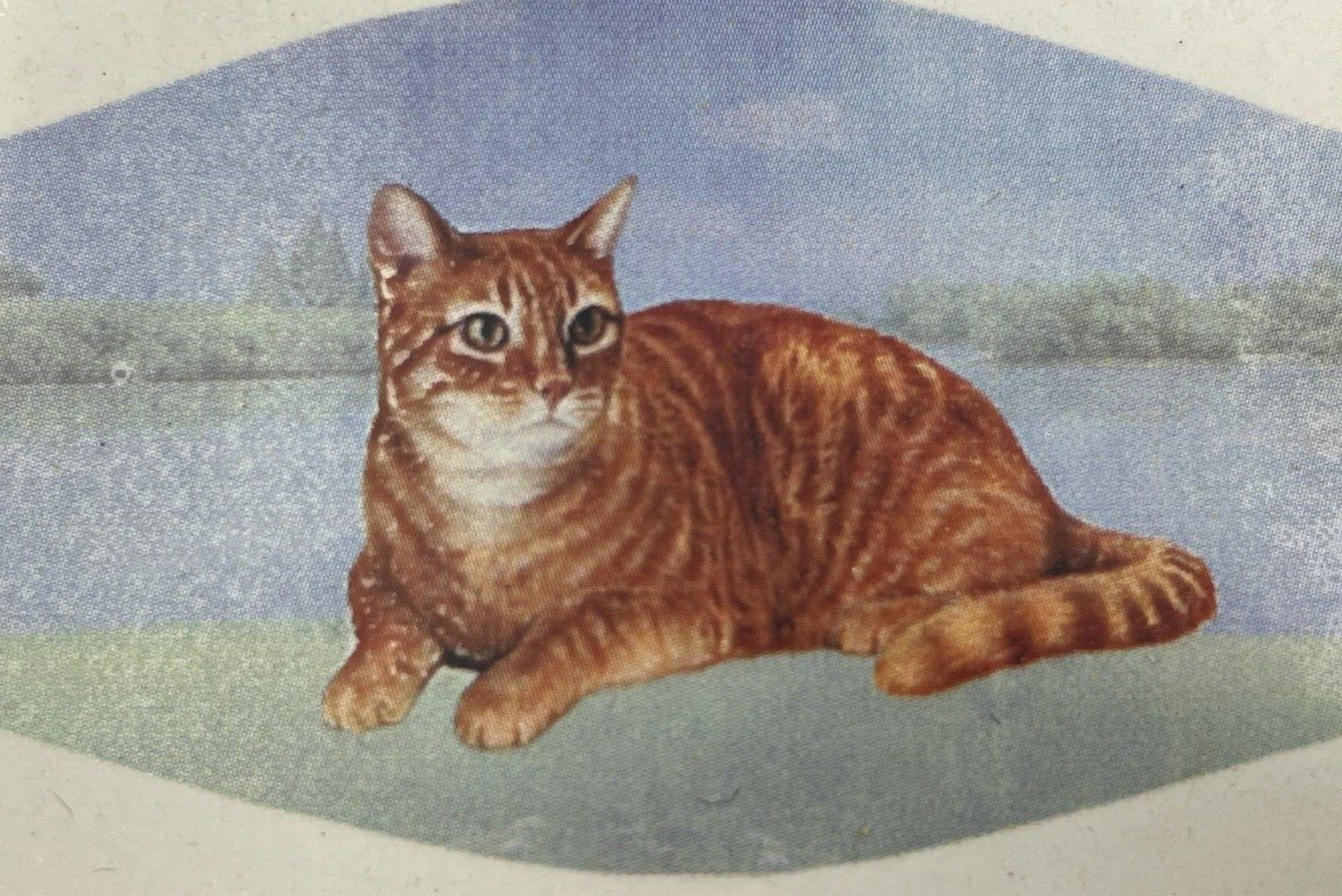 Orange Tabby Cat Lover’s Face Mask Double Stitch Triple Filter High Quality