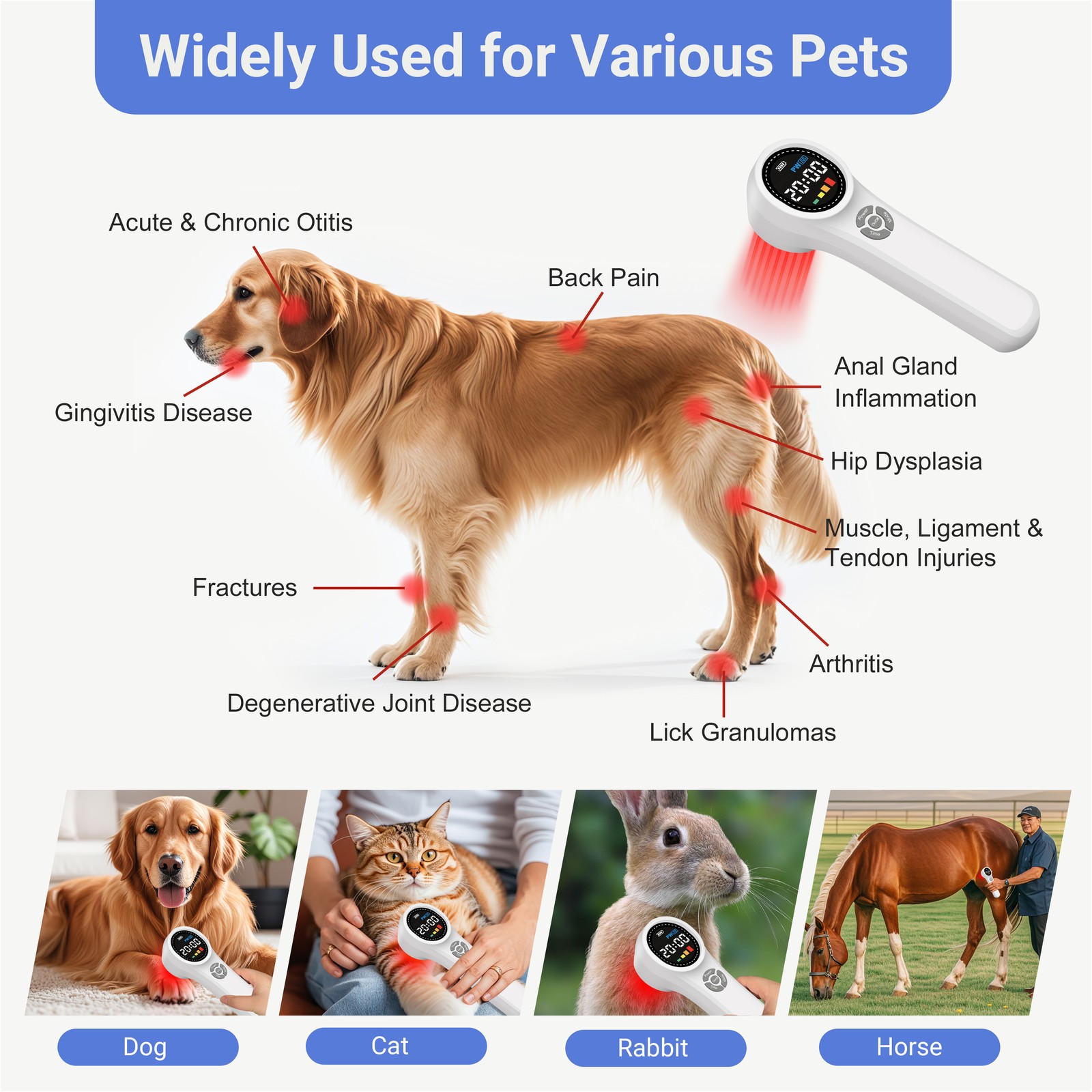Professional Cold Laser Therapy Device 1760mW Red Light for Chronic Pain Relief