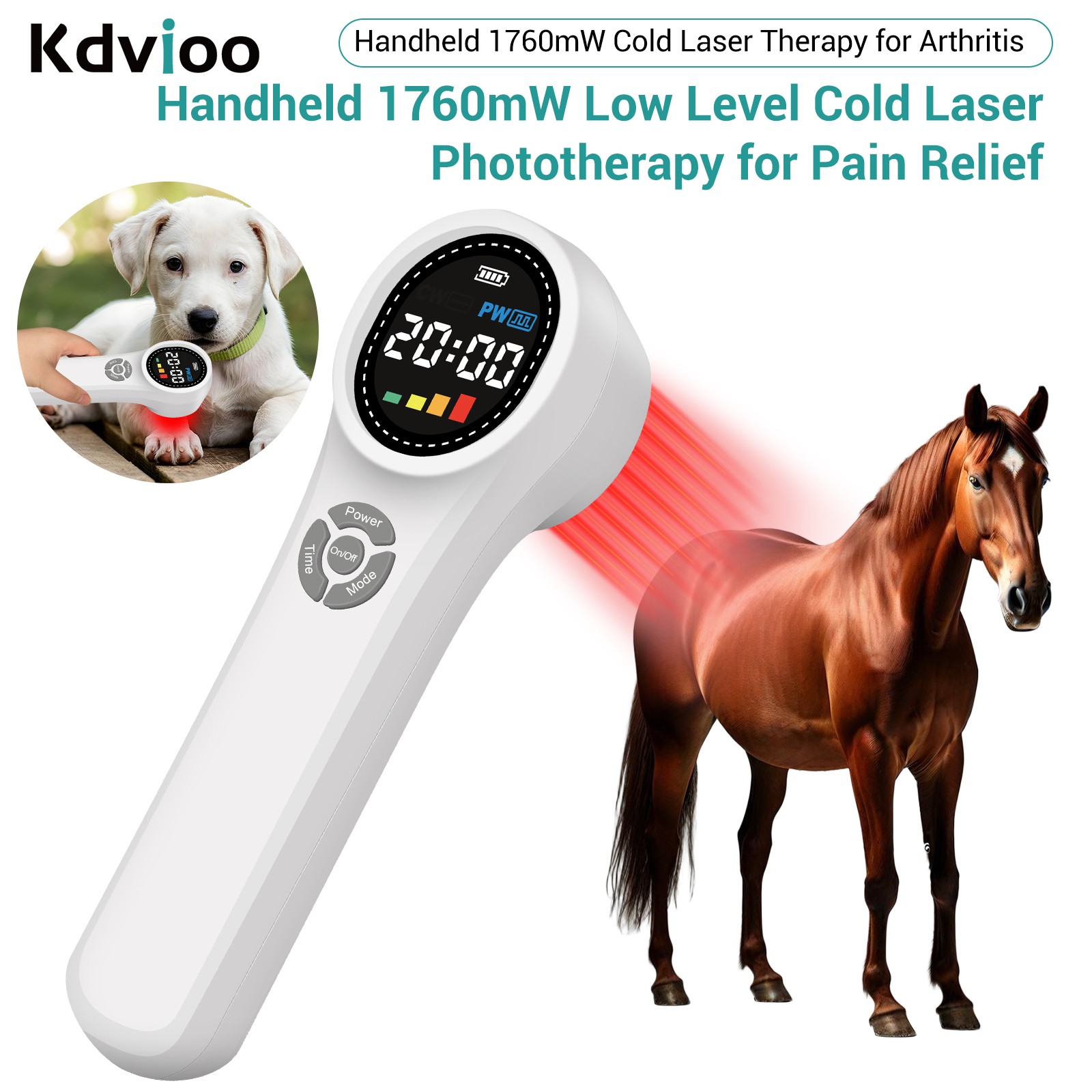 Professional Cold Laser Therapy Device 1760mW Red Light for Chronic Pain Relief